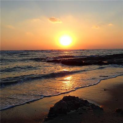 乐虎国际app下载