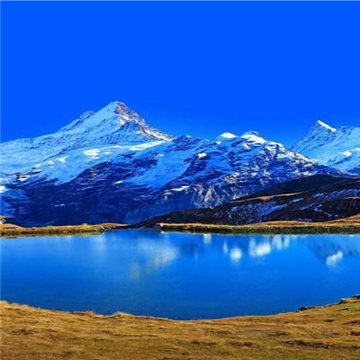 半岛网页版截图