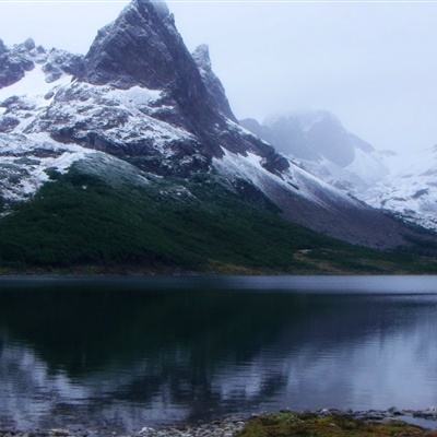 澳门4949资料免费大全手机app下载