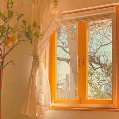 乐鱼体育平台下载地址截图