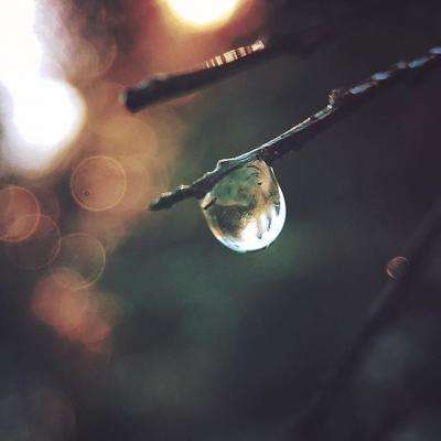 开元·appapp下载