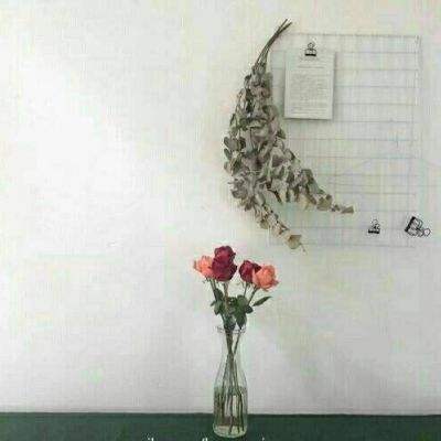 南宫28官网入口下载