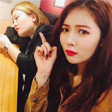 米乐·M6下载手机版